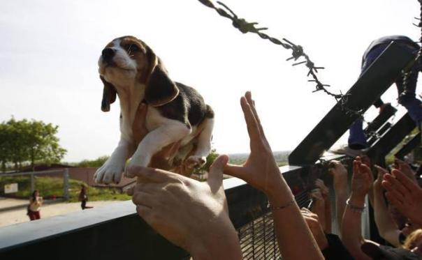 28 aprile 2012 - foto storiaca green hill