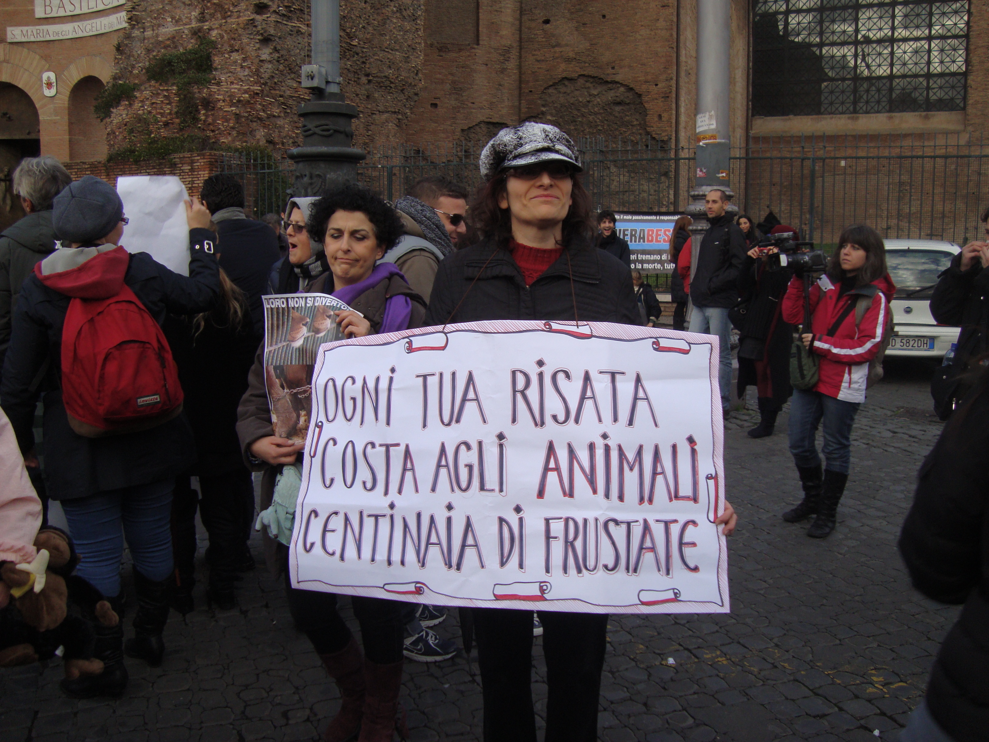 no al circo con gli animali