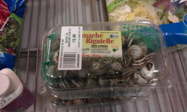 1682_10201090567609449_848006098_n