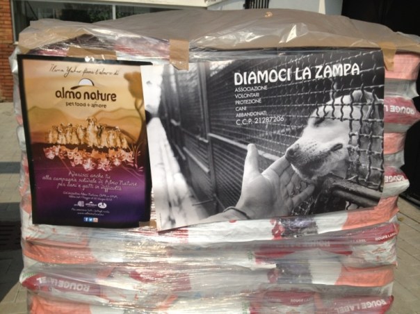 bancali Almo  x Gaia e Diamoci La Zampa foto-11 (2)