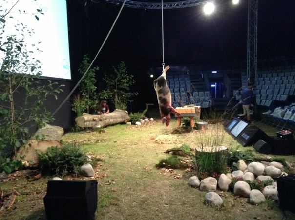 1239558_598366116897555_1583559225_n