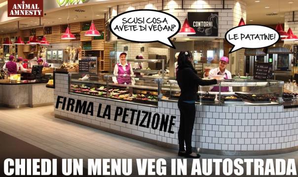 551271_604902929553279_76291455_n