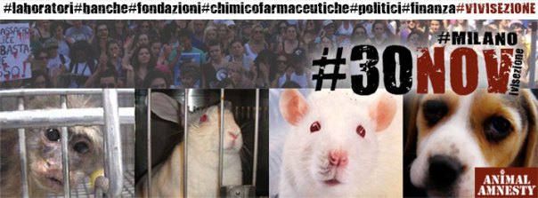 1382213_622415647802007_319223727_n