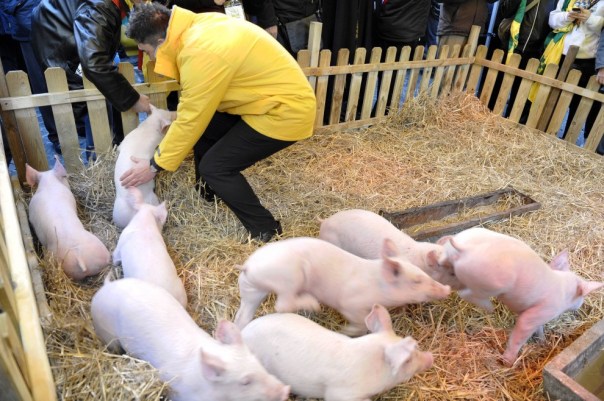 112353655-5217cc3a-4320-41b9-9475-99eb5e500984