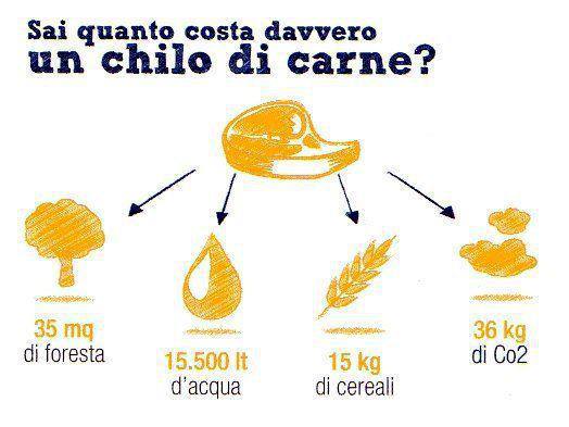 1488288_10201184188586460_11189895_n