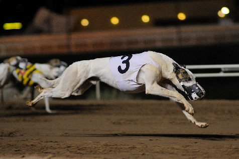 2761670527_11c67352bb_b