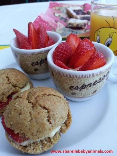 biscotti-vegan-vaniglia