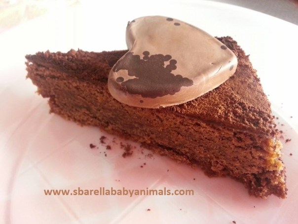 torta gianduia2
