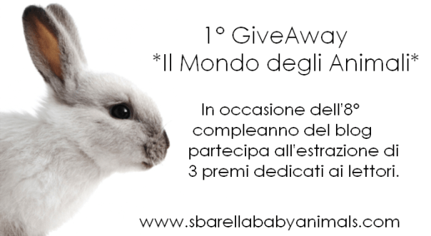 vegan-beauty-products-bunny