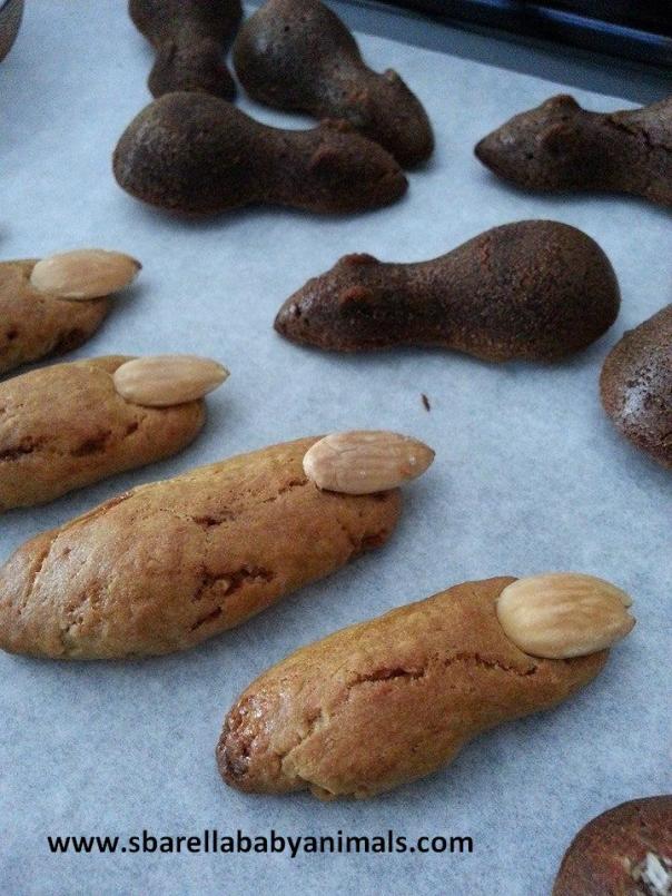 dita di strega e topini sbarellababyanimals