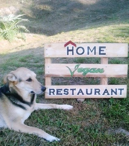 home vegan restaurant