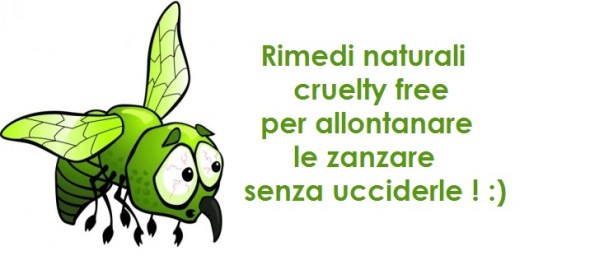 zanzara-preoccupata-272x300