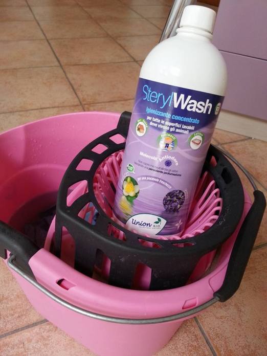 11223491_10207371592911156_9081214501590548003_n