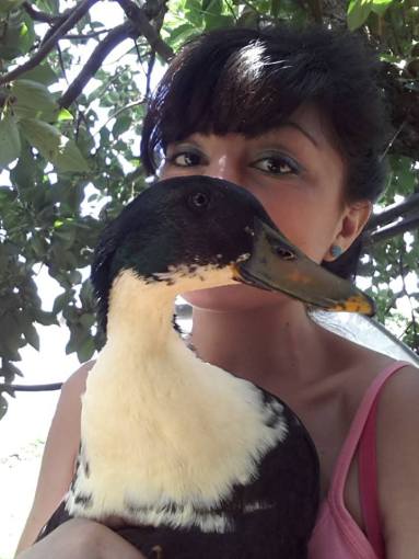 1004848_10202002043315772_956426538_n