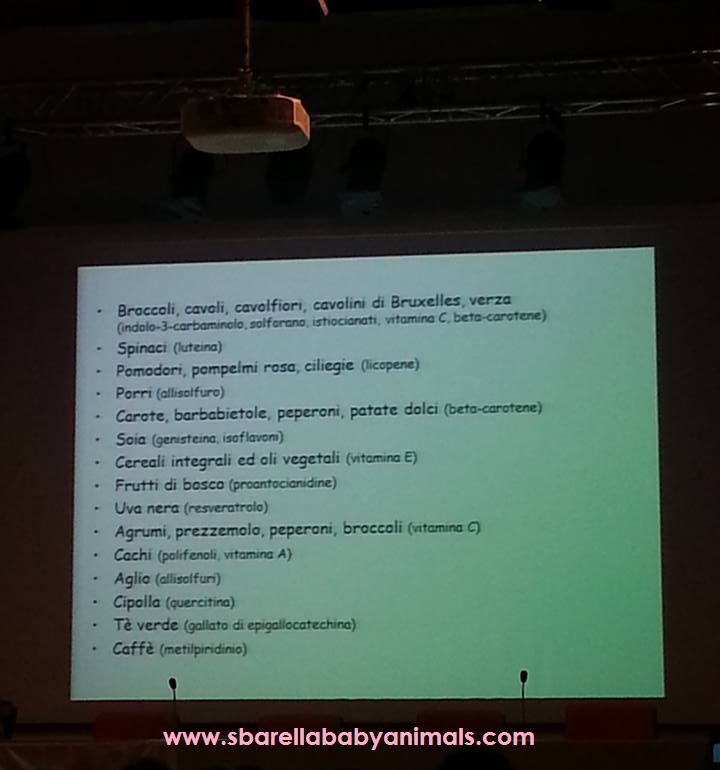 11059781_10209268934583512_6195879440048194921_n