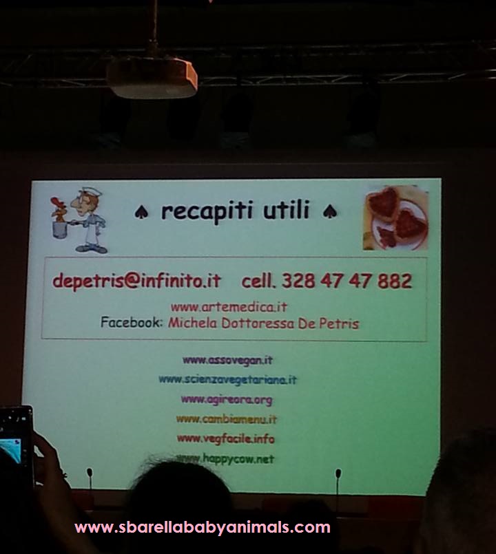 18984_10209268951823943_7133904768089219230_n