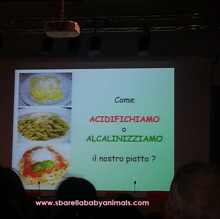 1916234_10209268938303605_9142536271522711516_n