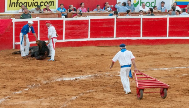 Plaza_de_Toros_Monumental_de_Maracaibo,_Corrida_01.jpg