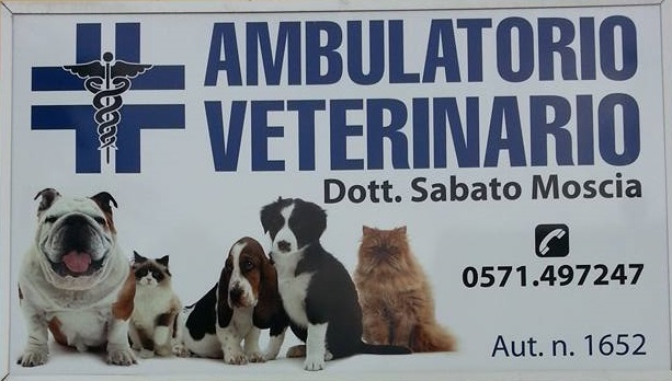 14183748_10210579428745047_3353659608309830396_n