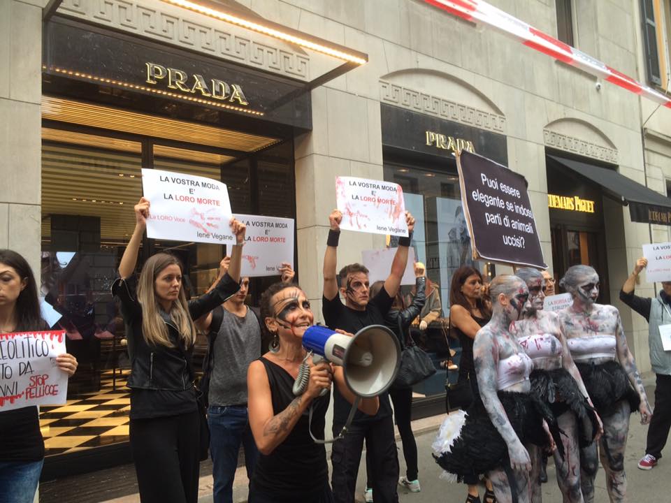 prada.jpg