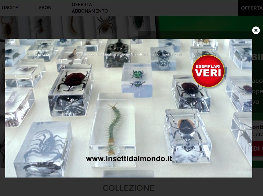 mail bombing rba.jpg