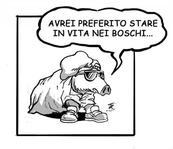 17005876_1254501724657452_1581611941_n