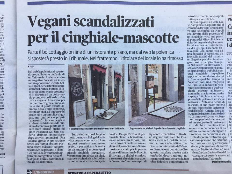 cinghiale.jpg