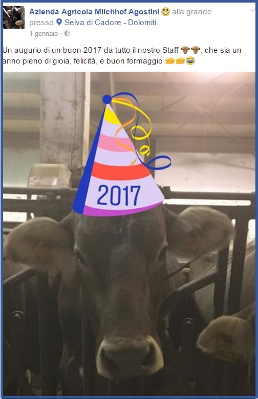 azienda agricola.jpg