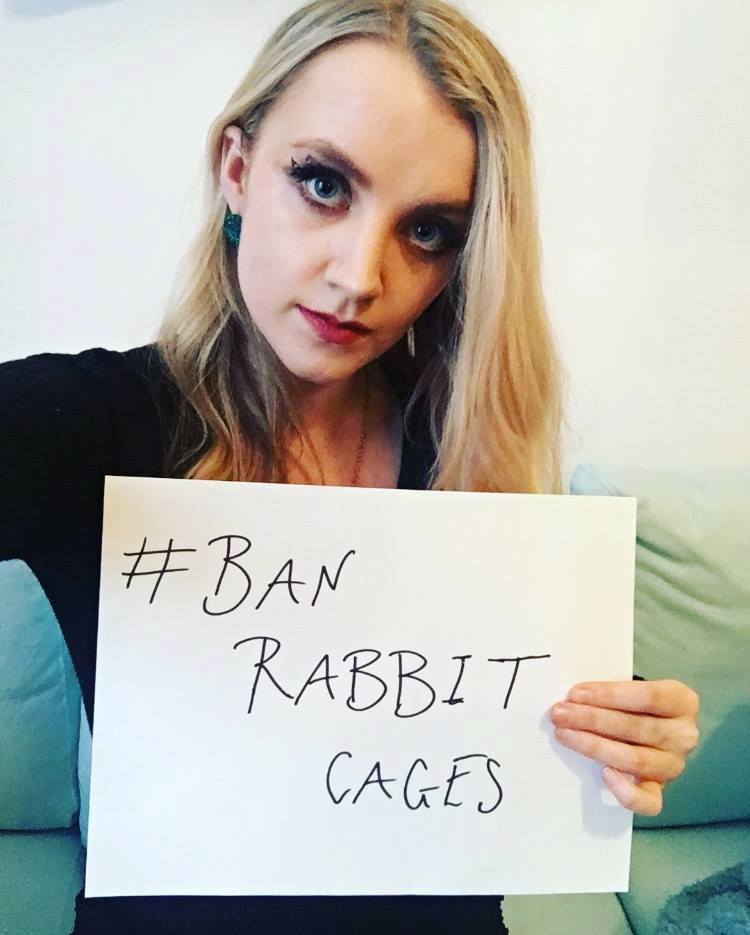 thumbnail_Evanna Lynch