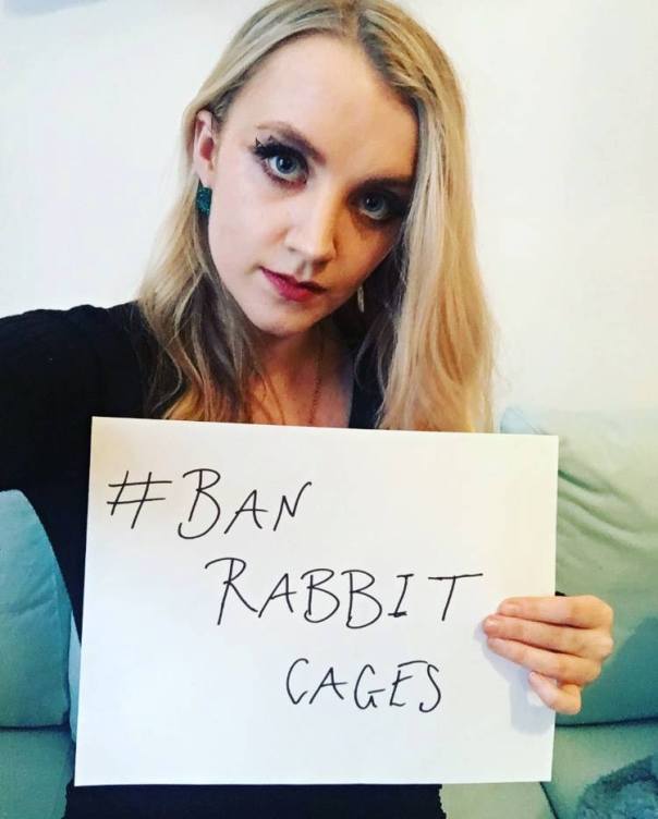 thumbnail_Evanna Lynch