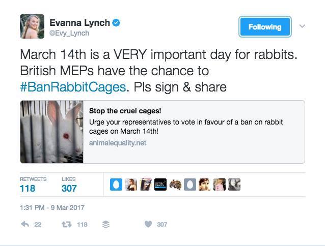 thumbnail_Evanna Lynch_tweeter.jpg