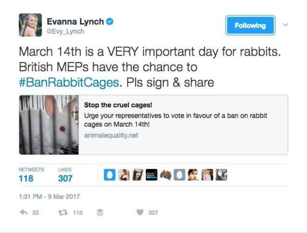 thumbnail_Evanna Lynch_tweeter.jpg