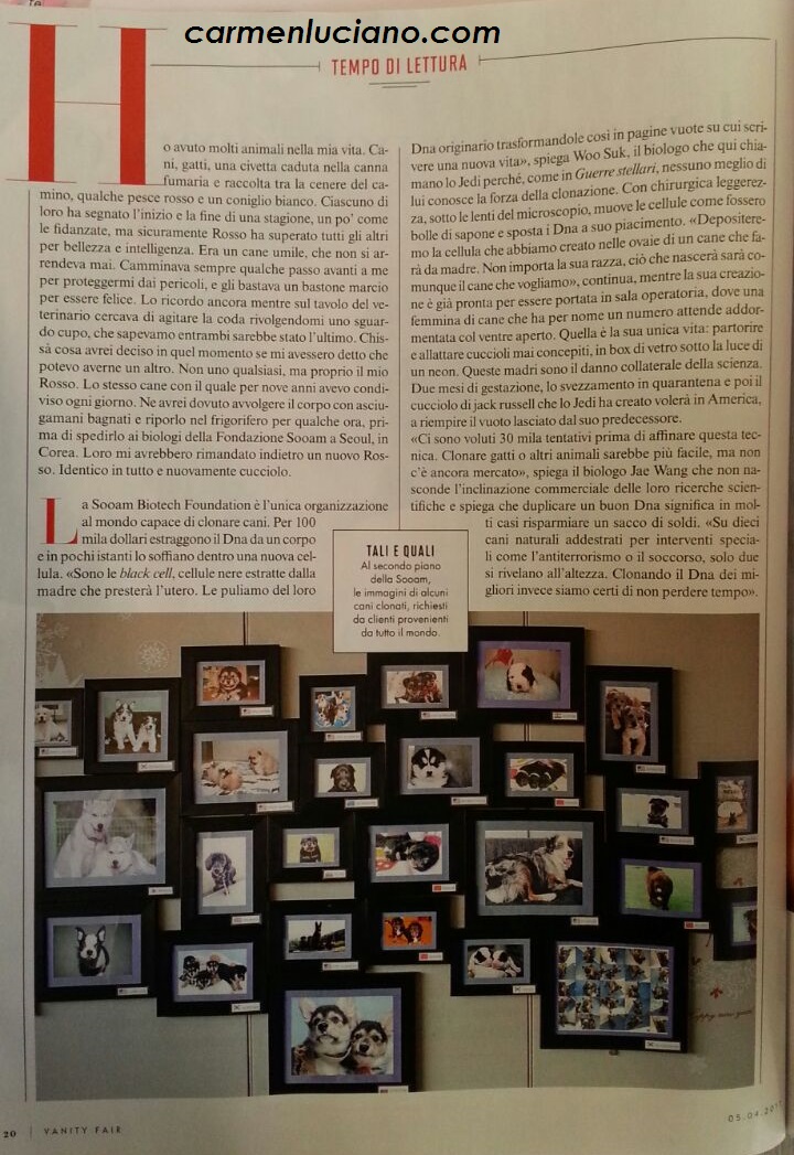 un cane è per sempre 2