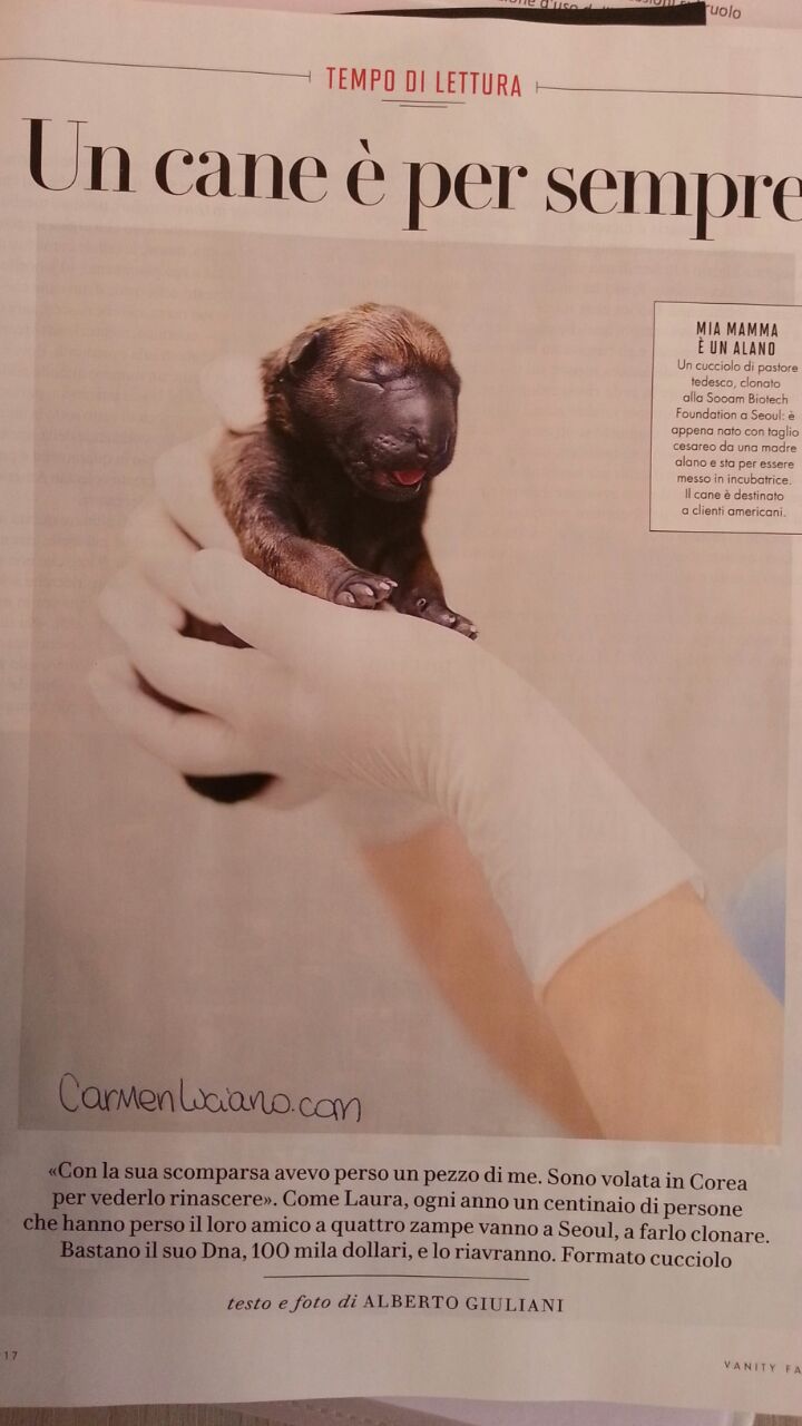 un cane è per sempre