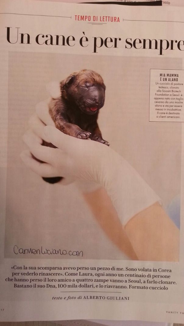 un cane è per sempre