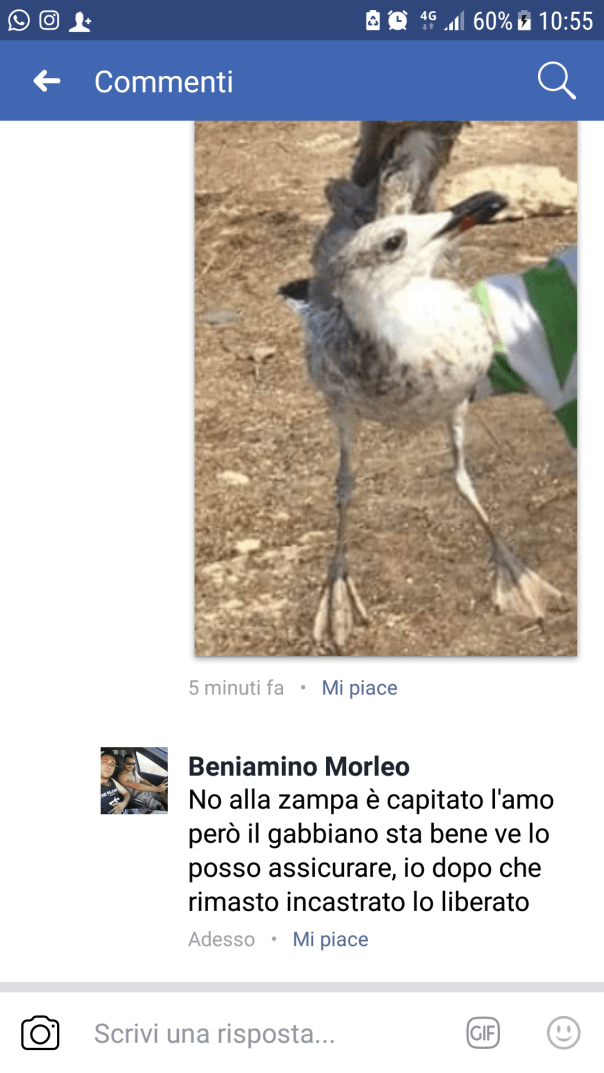 Screenshot_20170904-105538