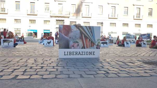 fine dello specismo 4