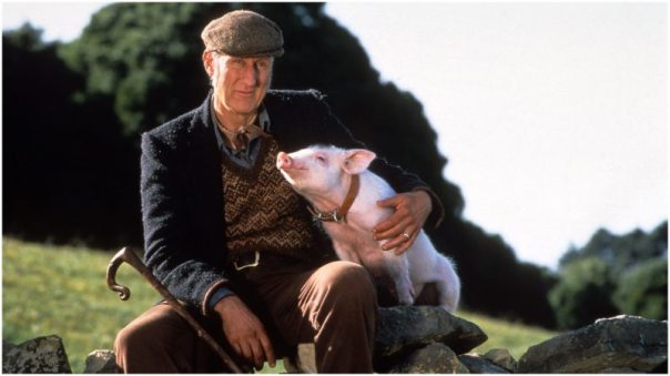 articolo film antispecisti.jpg