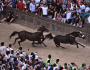 °°Palio di Siena Patrimonio Unesco? NO, Anacronistico Evento Specista del XXI&nbsp;Secolo°°