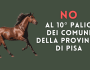 [PROTESTA] NO al Palio Ippico dei Comuni della Provincia di&nbsp;Pisa